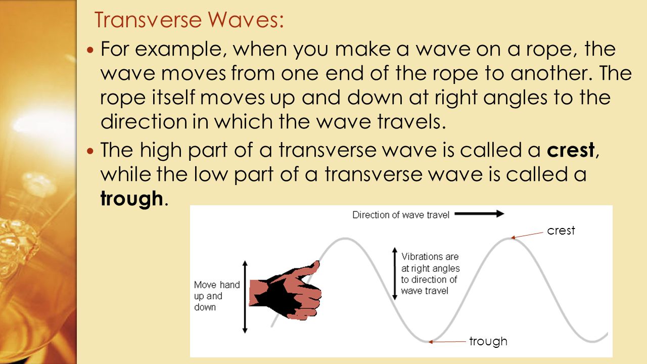 Transverse Waves: