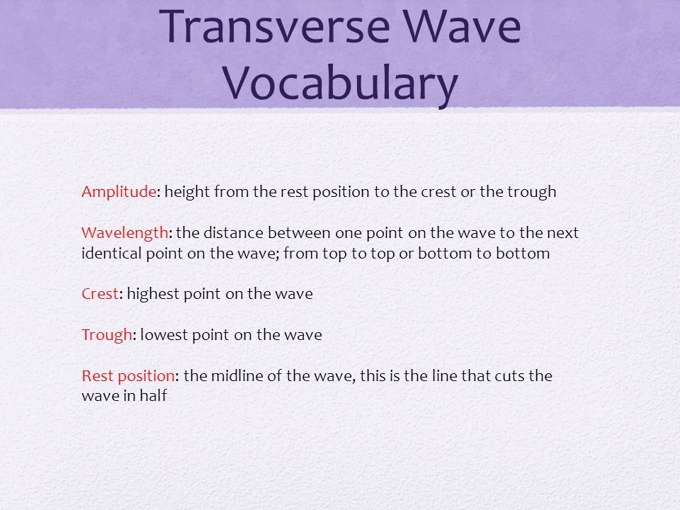 Transverse Wave Vocabulary