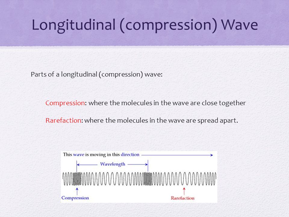 Longitudinal (compression) Wave