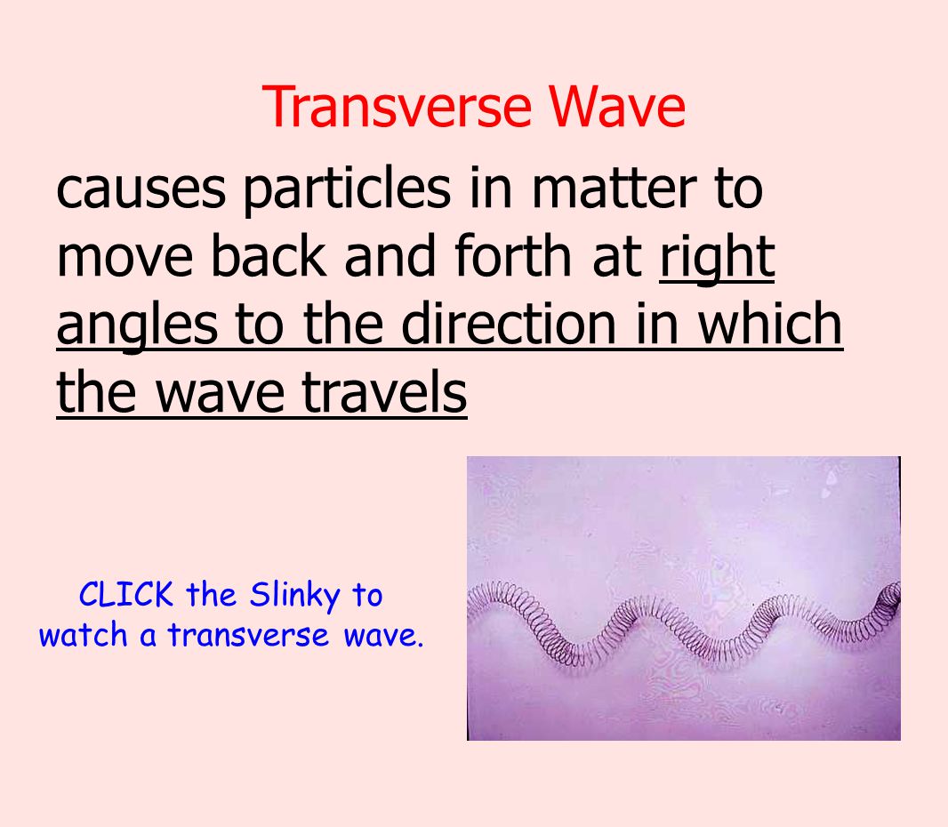 CLICK the Slinky to watch a transverse wave.