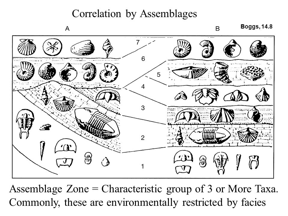 Correlation by Assemblages
