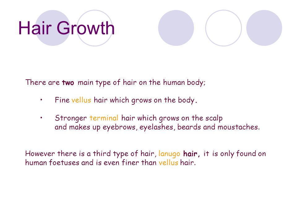 Hair Structure & Growth - ppt video online download