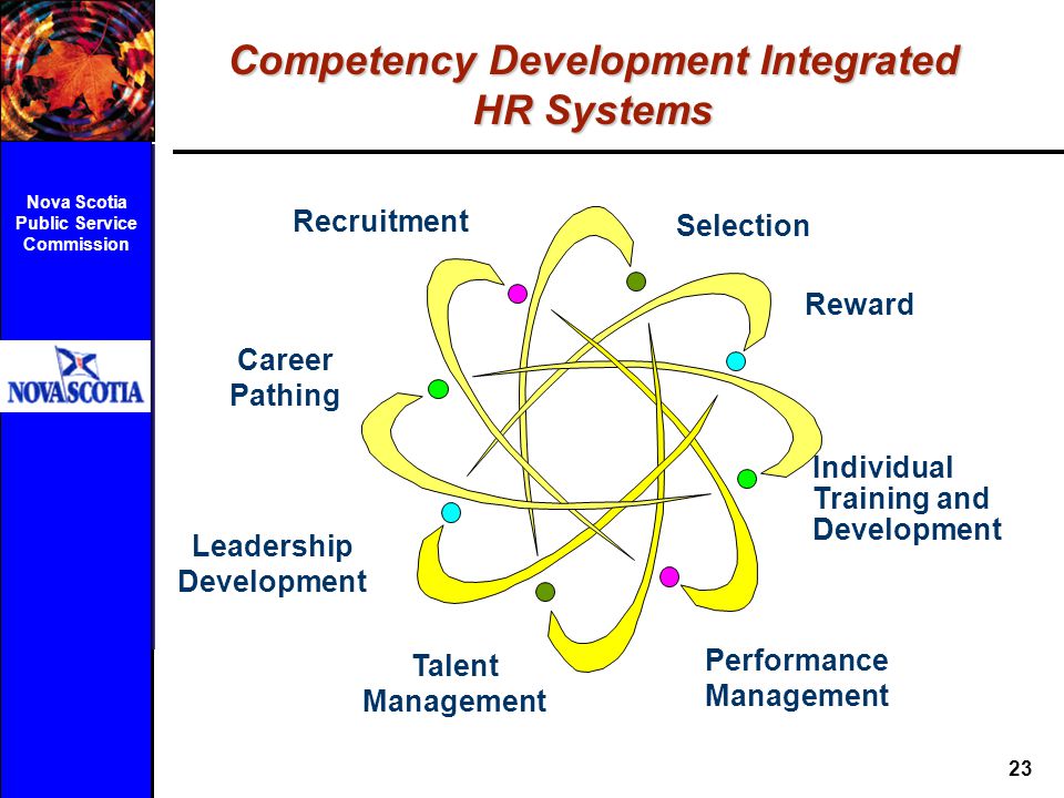 Competency Development Integrated HR Systems