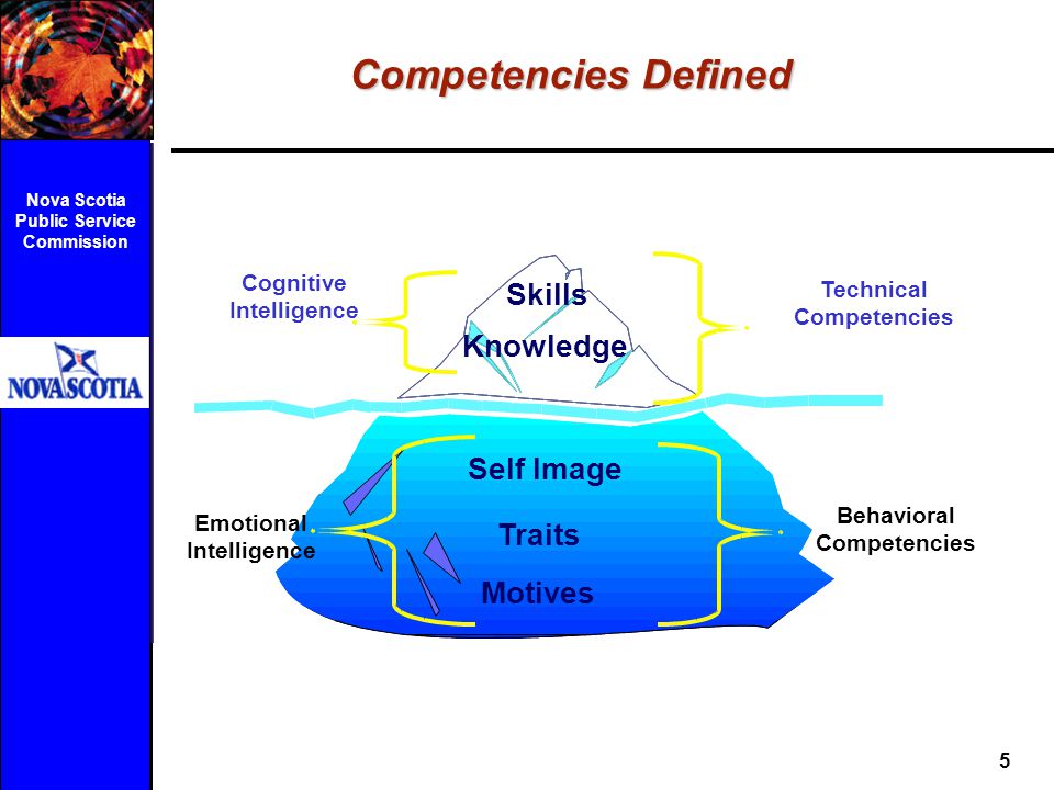 Competencies Defined Skills Knowledge Self Image Traits Motives