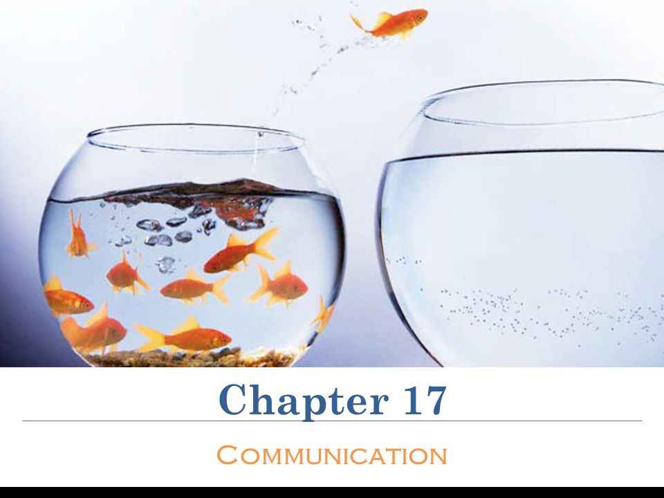 Chapter 17 Communication