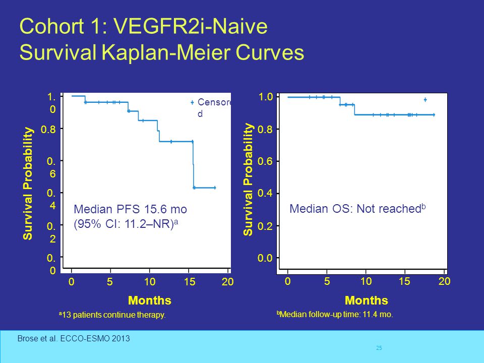 Cohort 1: VEGFR2i-Naive Survival Kaplan-Meier Curves