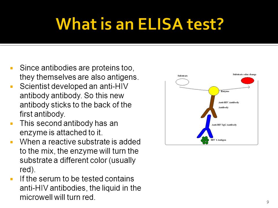 diagnosis of hiv infection ppt video