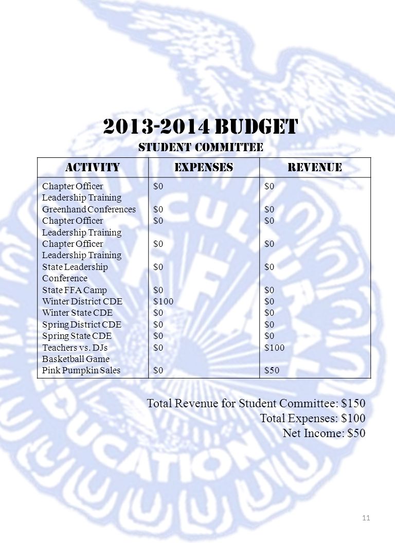 Budget Student committee Activity Expenses Revenue