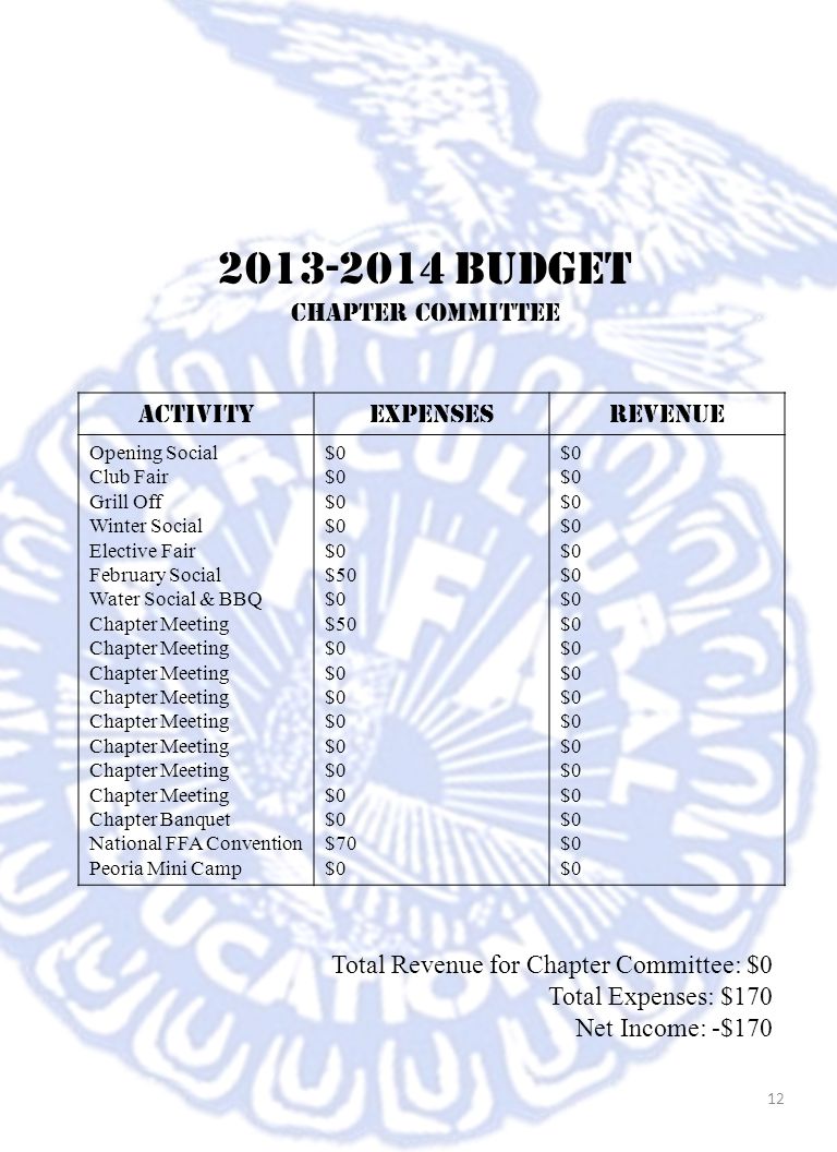 Budget Chapter committee Activity Expenses Revenue