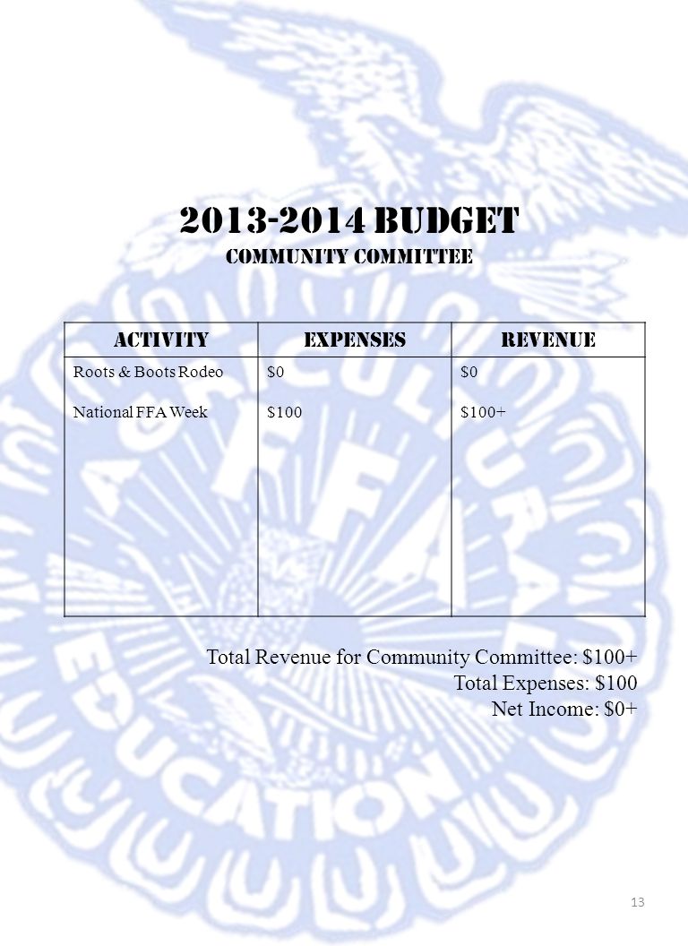 Budget Community committee Activity Expenses Revenue