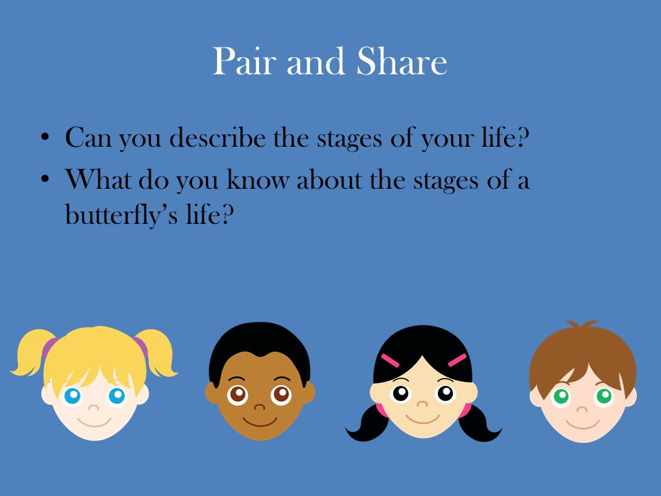 Pair and Share Can you describe the stages of your life