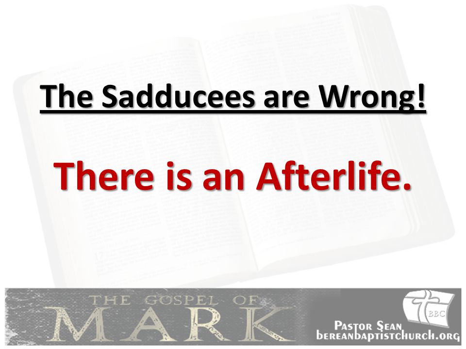 The Sadducees are Wrong!