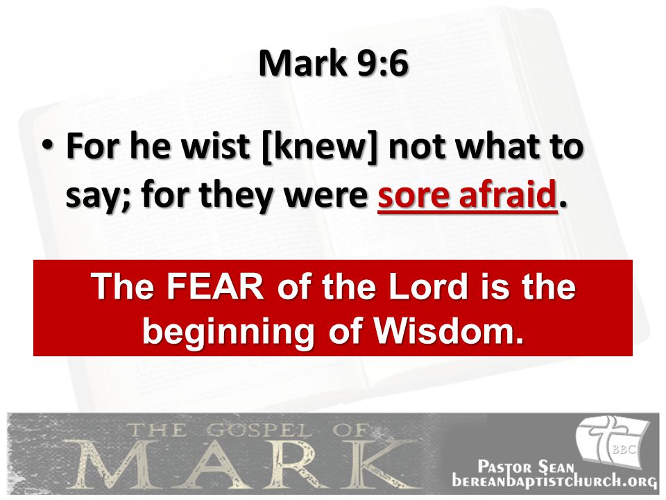 The FEAR of the Lord is the beginning of Wisdom.