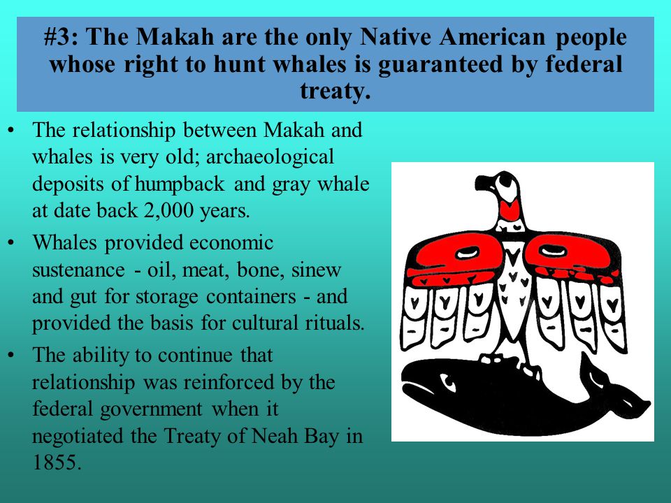 Our friends with the Makah Tribe in Neah Bay needed a storage