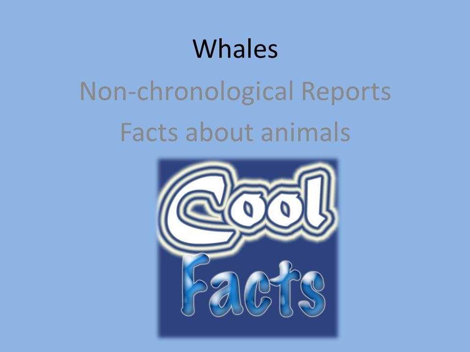 Non-chronological Reports Facts about animals