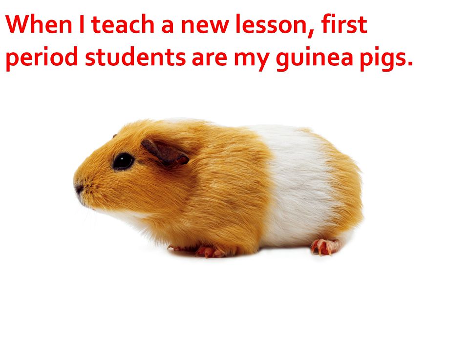 When I teach a new lesson, first period students are my guinea pigs.
