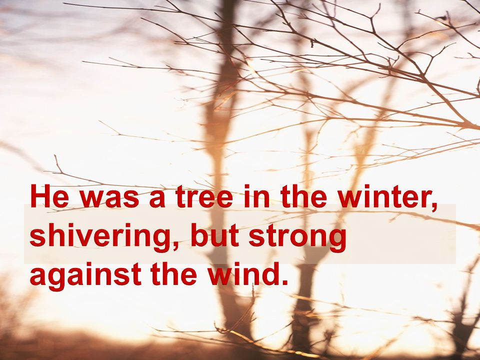 He was a tree in the winter, shivering, but strong against the wind.