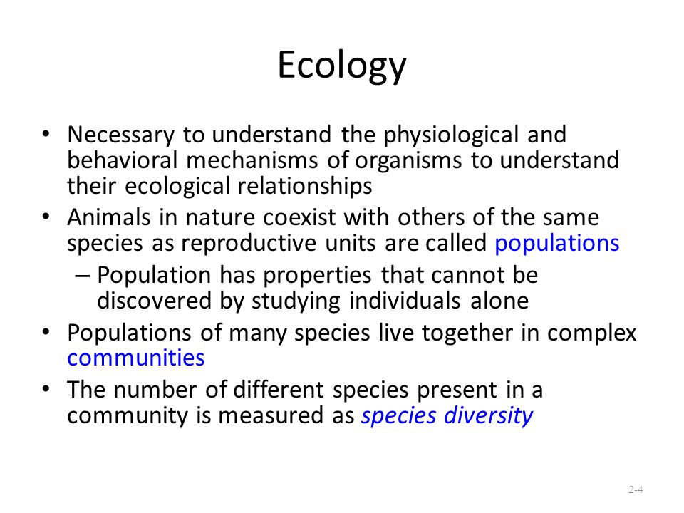 Chapter 2 Animal Ecology. - ppt download Chapter 2 Animal Ecology. - ppt download