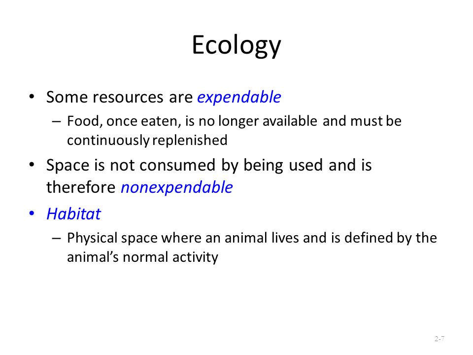 Chapter 2 Animal Ecology. - ppt download