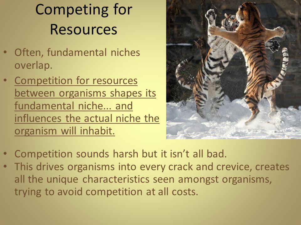 Competing for Resources