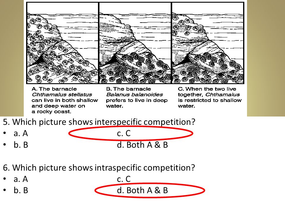 5. Which picture shows interspecific competition