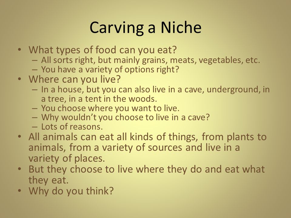 Carving a Niche What types of food can you eat Where can you live