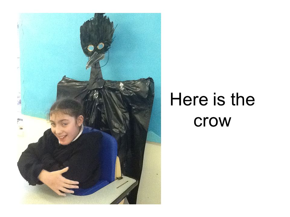 Here is the crow