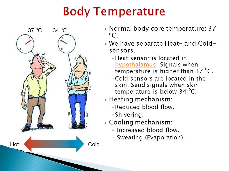 Body Temperature Normal body core temperature: 37 oC.