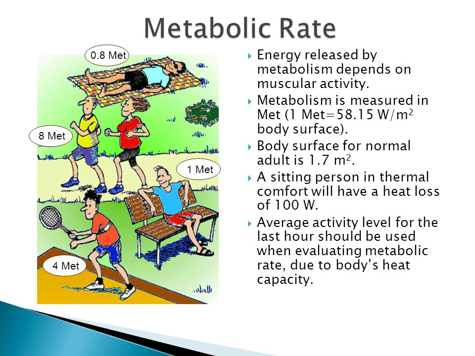 Metabolic Rate 0.8 Met. 1 Met. 8 Met. 4 Met. Energy released by metabolism depends on muscular activity.