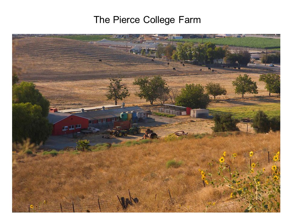 The Pierce College Farm