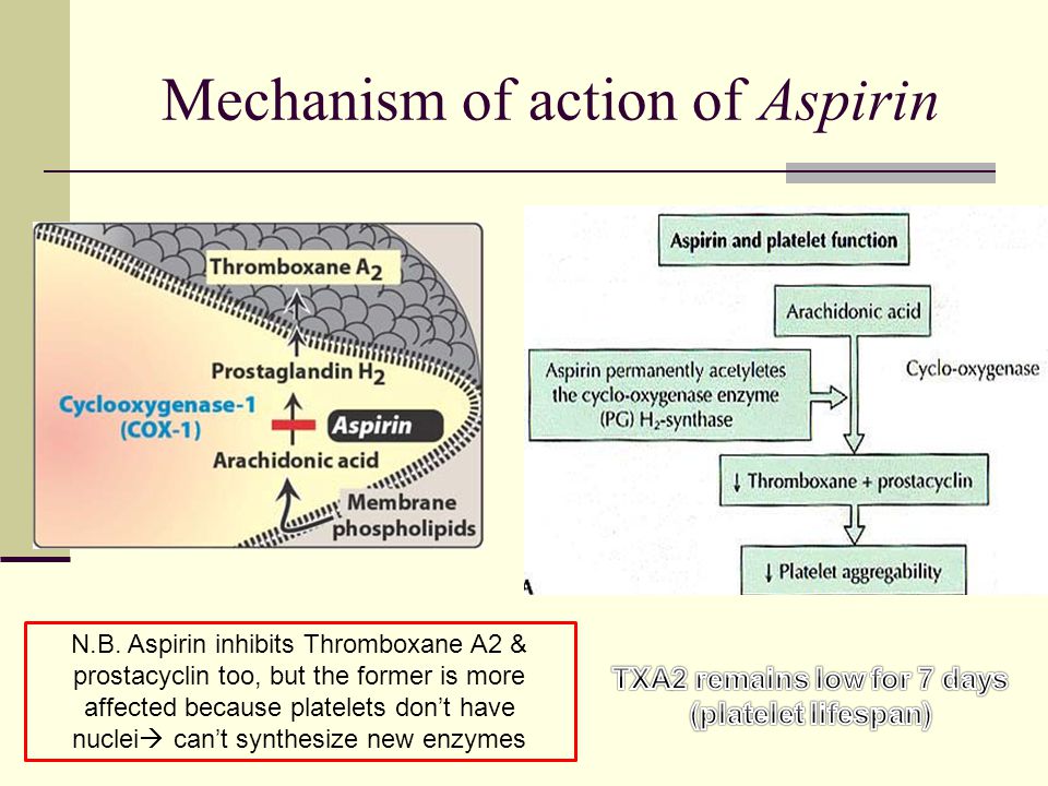 Platelet Aggregation Inhibitors Ppt Video Online Download