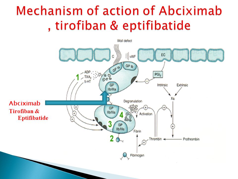 Mechanism of action. Эптифибатид, тирофибан. Абциксимаб. Абциксимаб механизм действия фармакология. Абциксимаб фармакологические эффекты.