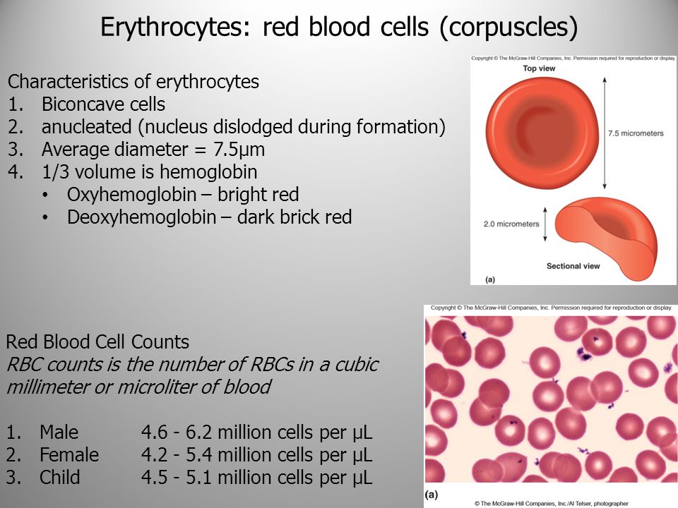 Тест клетки крови. Erythrocytes in Blood. Red Blood Cells анализ. Blood Cell Sizes. Number of the erythrocytes.