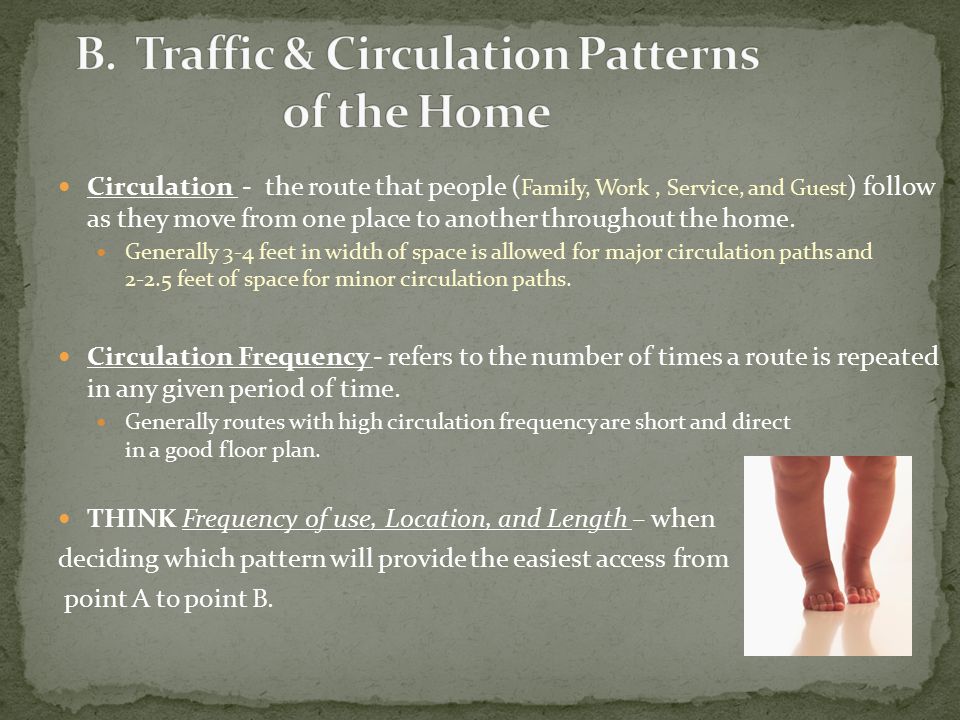 B. Traffic & Circulation Patterns of the Home