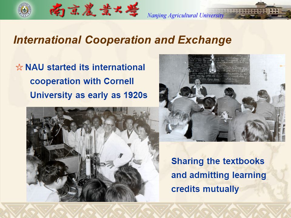 International Cooperation and Exchange