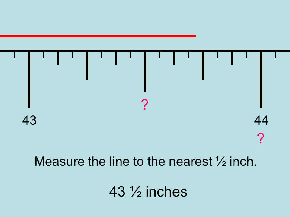 Measure the line to the nearest ½ inch. 43 ½ inches