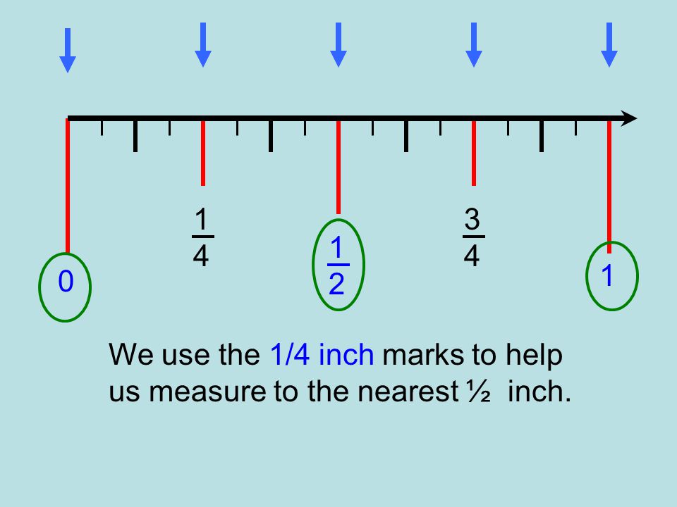We use the 1/4 inch marks to help us measure to the nearest ½ inch.