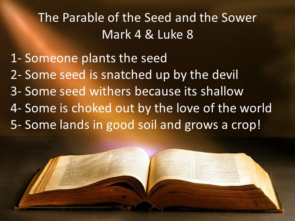 The Parable of the Seed and the Sower