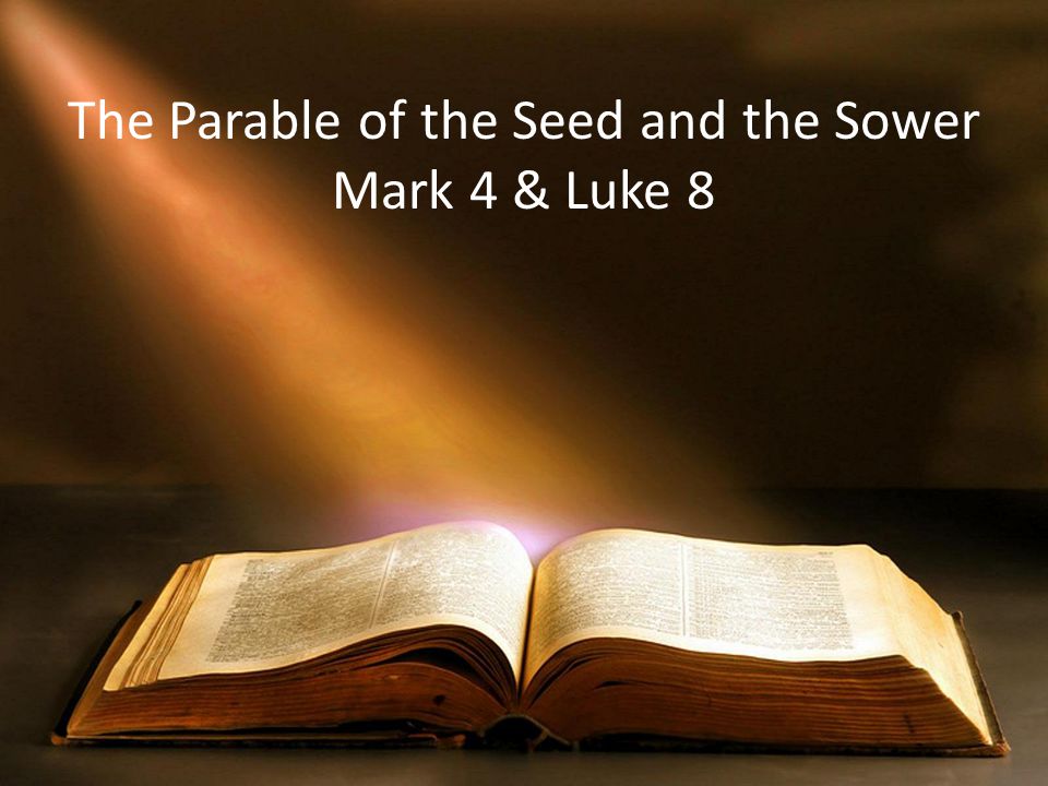 The Parable of the Seed and the Sower