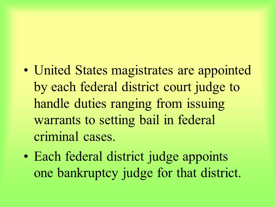 United States magistrates are appointed by each federal district court judge to handle duties ranging from issuing warrants to setting bail in federal criminal cases.