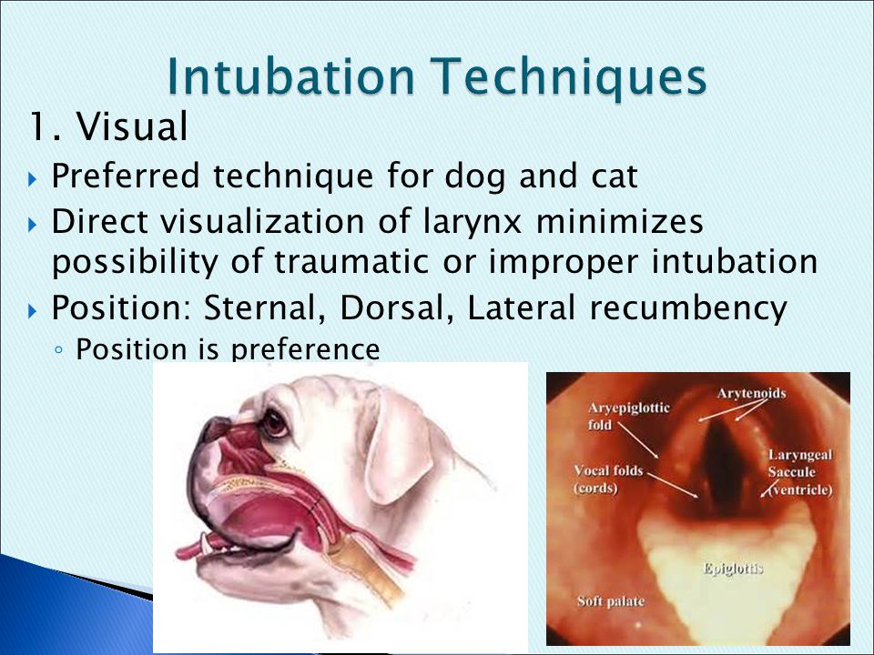 Intubation Techniques