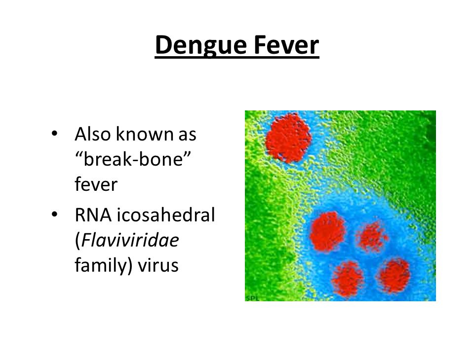 Acute Leukemias: Prognostic Factors and Treatment