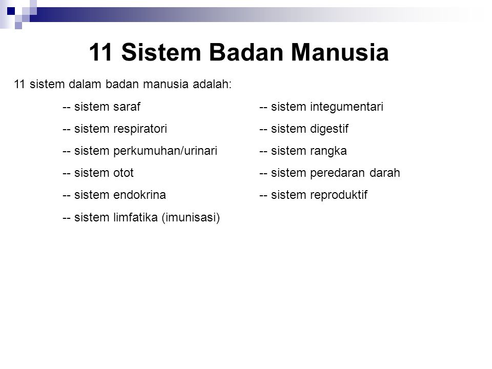 Dr Norlena Salamuddin Universiti Kebangsaan Malaysia Ppt Video Online Download