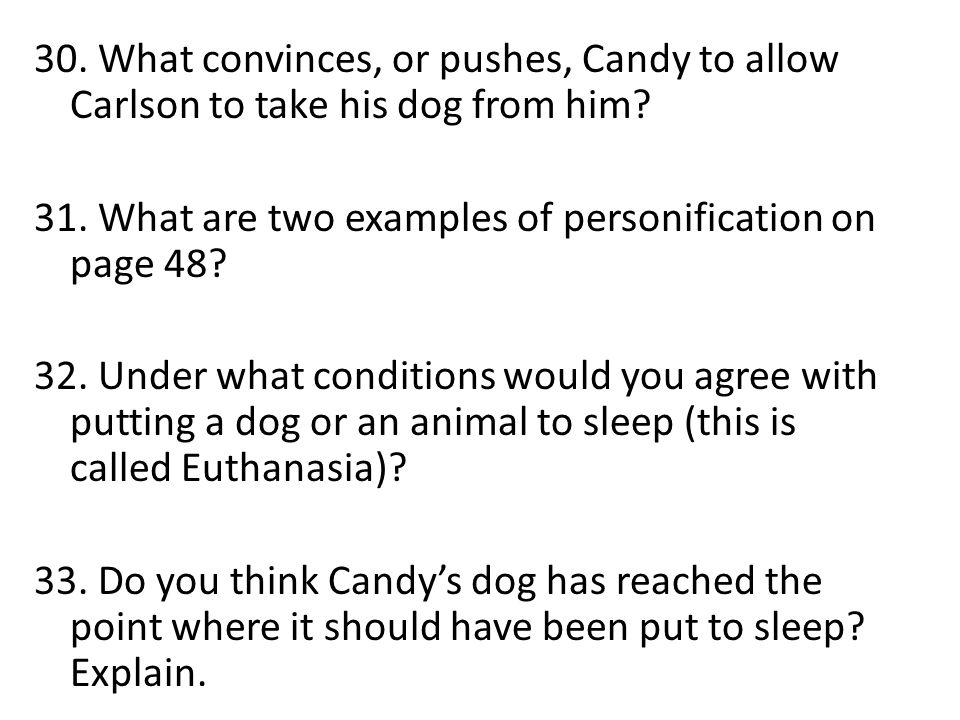 30. What convinces, or pushes, Candy to allow Carlson to take his dog from him