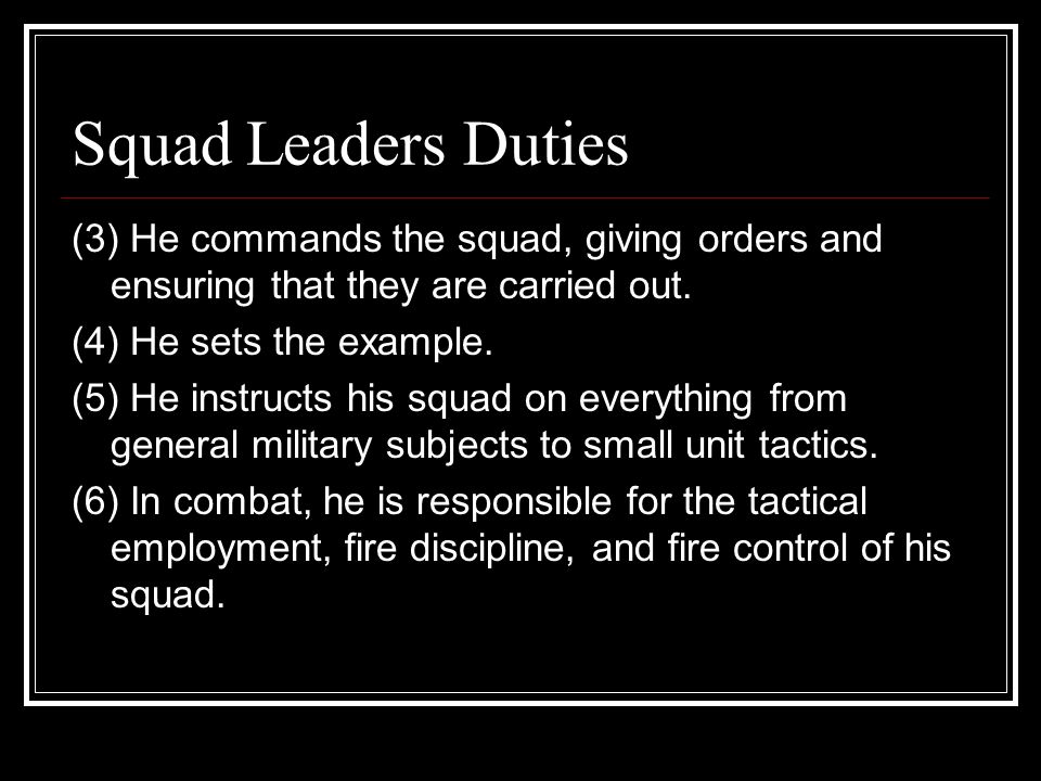 squad squad leader controls