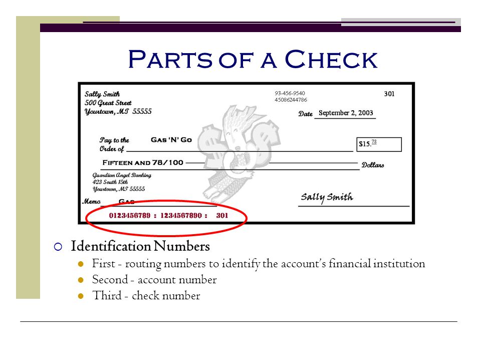 Parts of a Check Identification Numbers