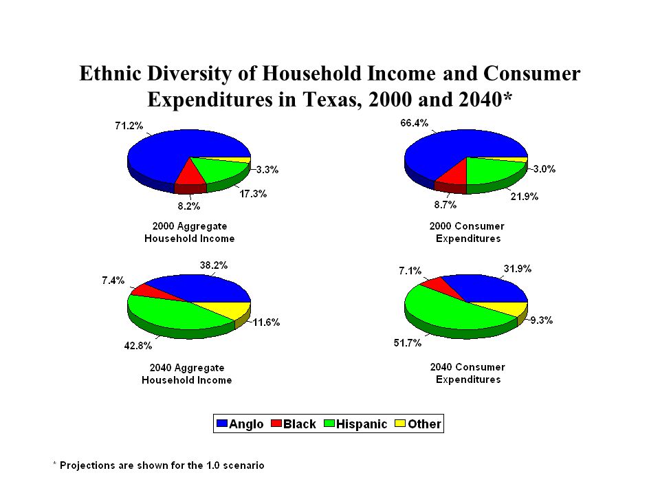 Ethnic Diversity of Household Income and Consumer Expenditures in Texas, 2000 and 2040*