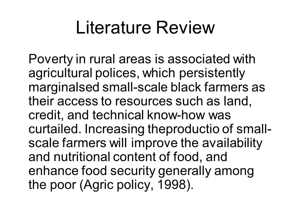literature review on poverty