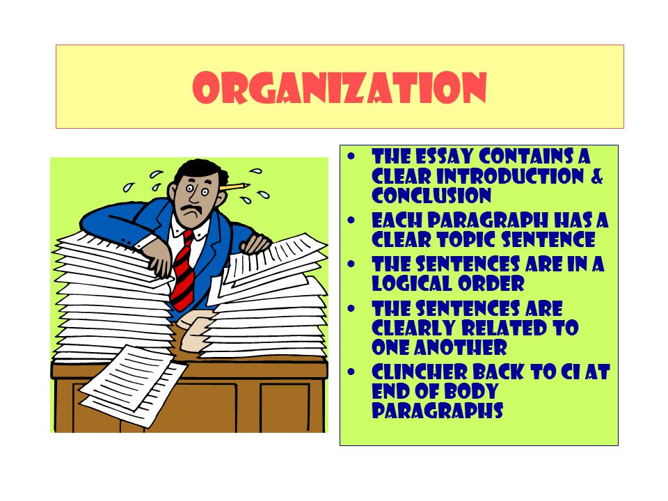 ORGANIZATION The essay contains a clear introduction & Conclusion