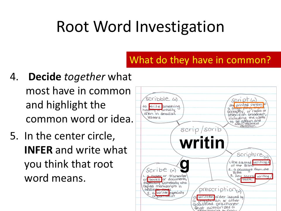 Root Word Investigation